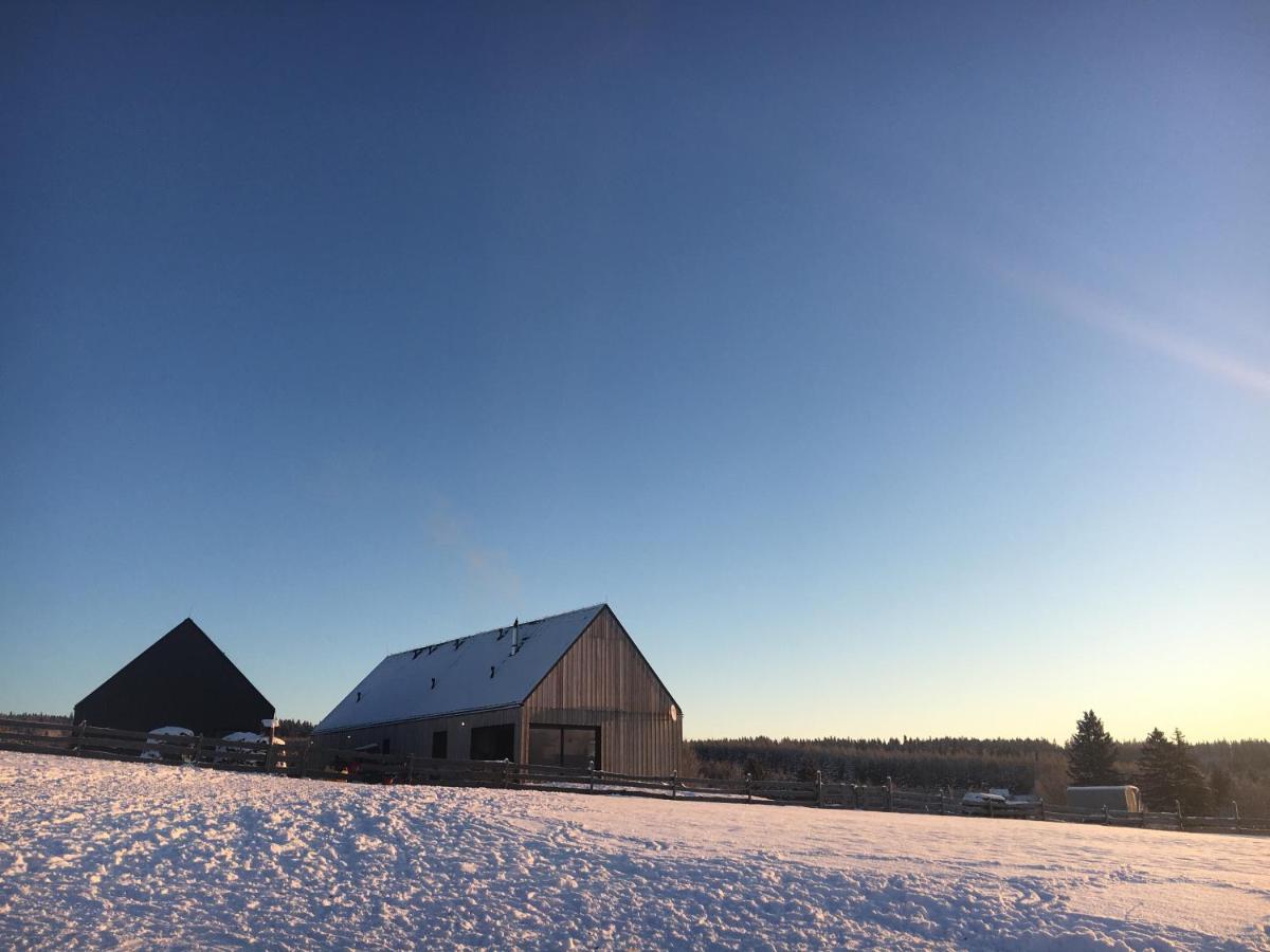 Wzgorze Owiec Sheep Hill Mostowice Екстериор снимка