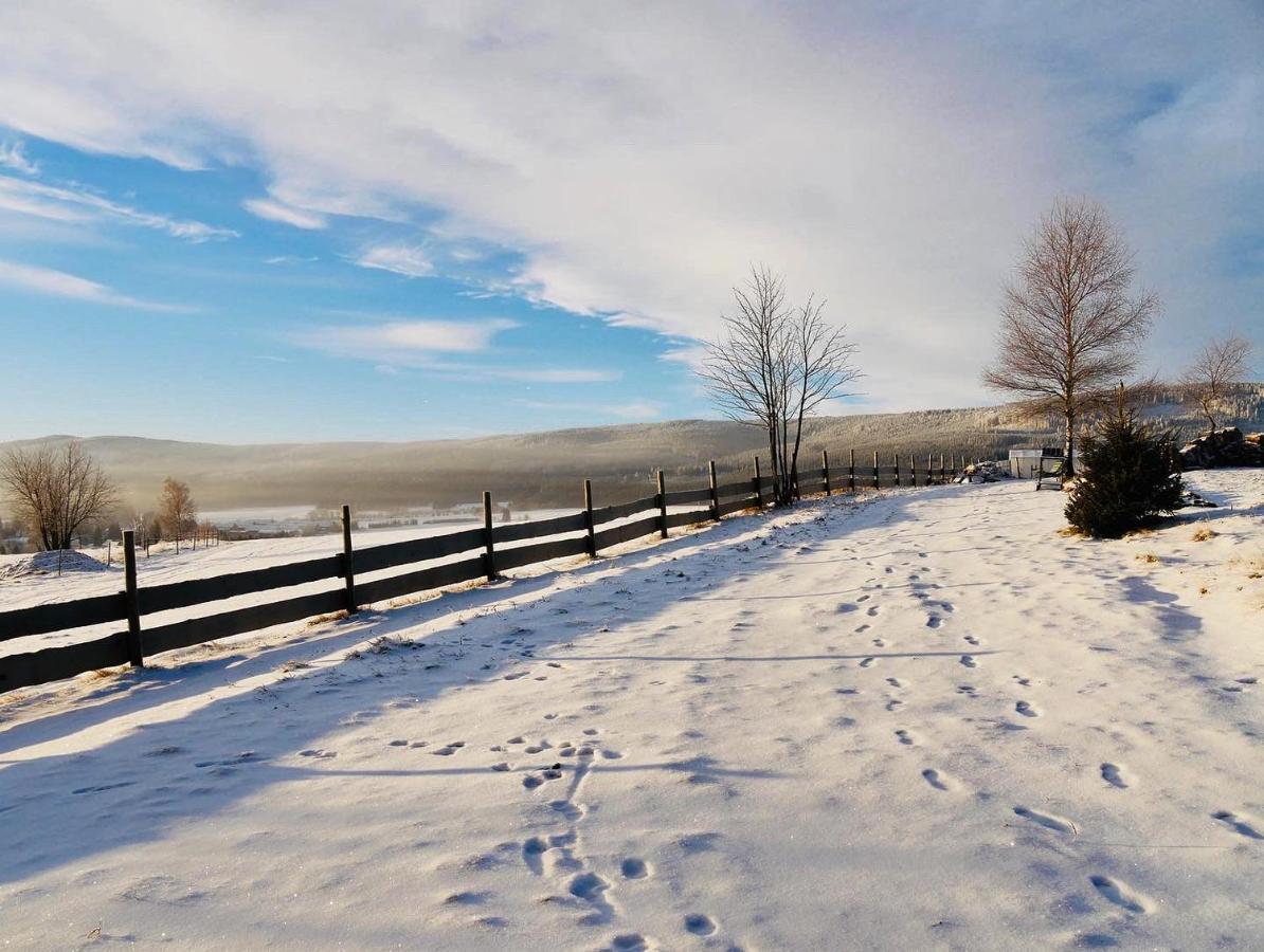 Wzgorze Owiec Sheep Hill Mostowice Екстериор снимка