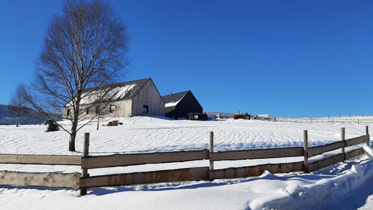 Wzgorze Owiec Sheep Hill Mostowice Екстериор снимка
