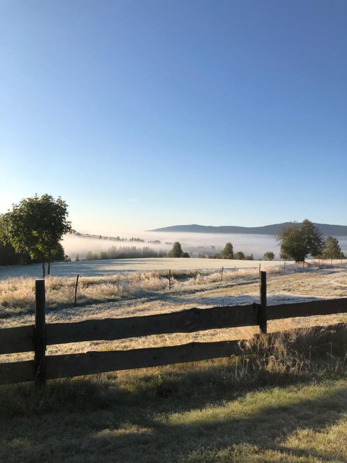 Wzgorze Owiec Sheep Hill Mostowice Екстериор снимка