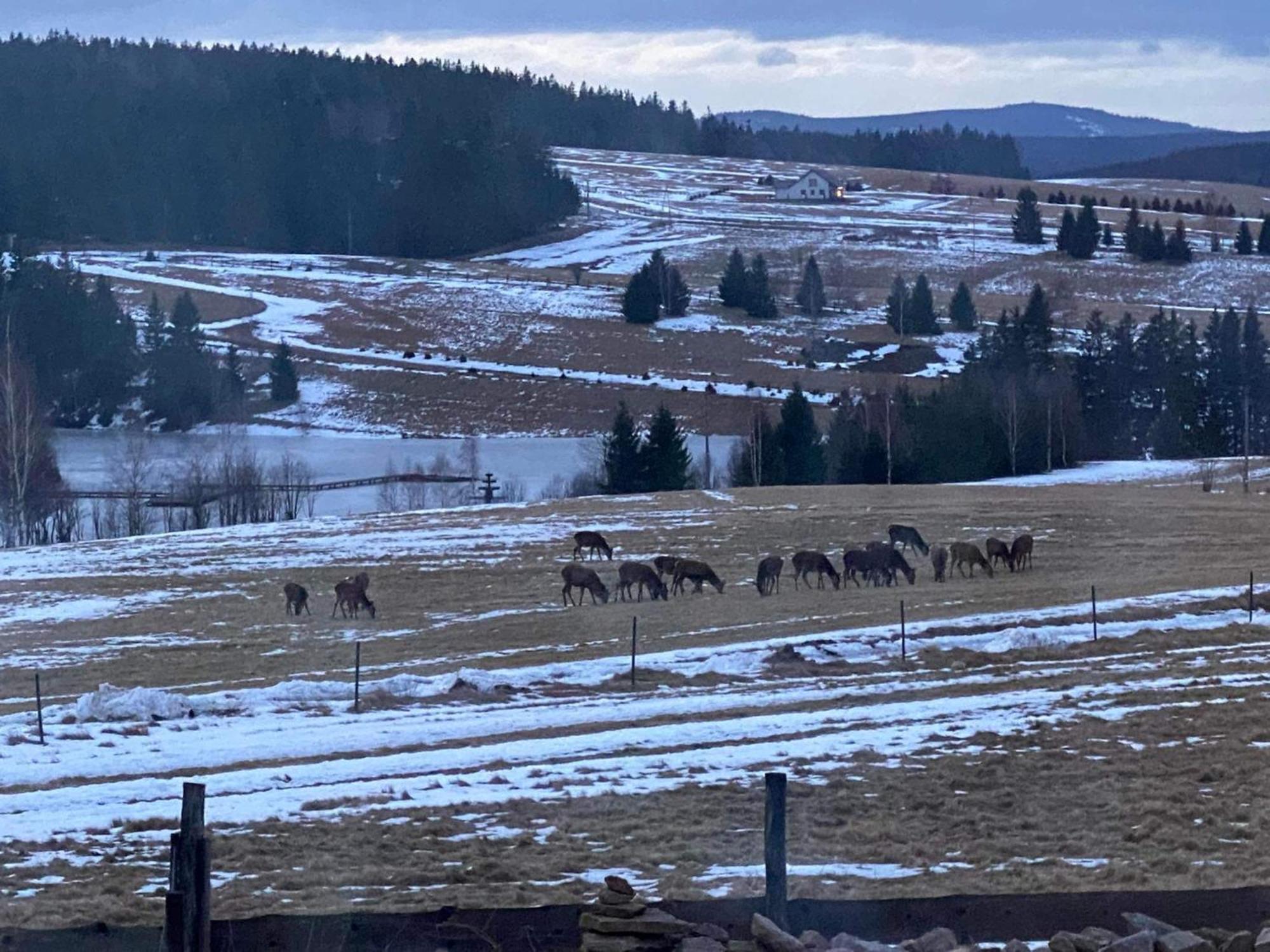 Wzgorze Owiec Sheep Hill Mostowice Екстериор снимка